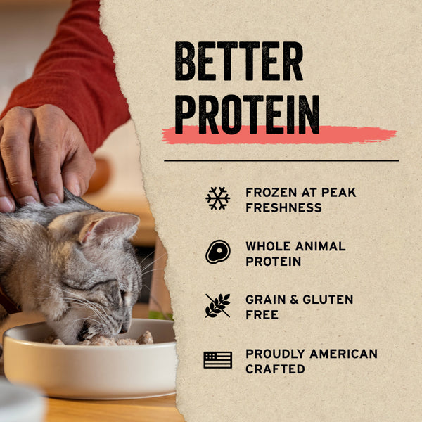 Vital Essentials Vital Cat Treats Minnows Freeze-Dried Cat Treats, 0.5-oz  bag – Rochester Pet & Country Store