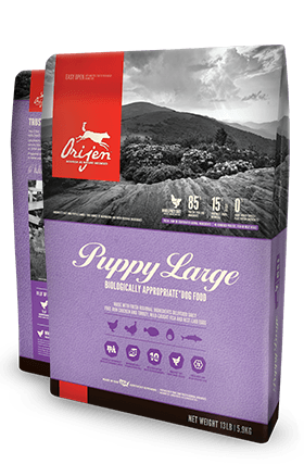Orijen Large Breed Puppy – Lees' Feed & Western