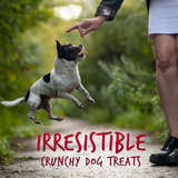 Fruitables Chewy Skinny Minis Apple Bacon Dog Treats