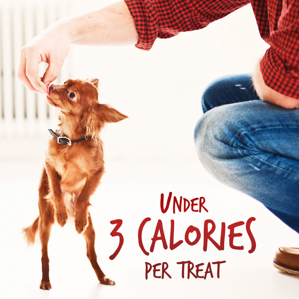 Fruitables Chewy Skinny Minis Apple Bacon Dog Treats