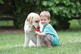 Kong Classic Dog Toy