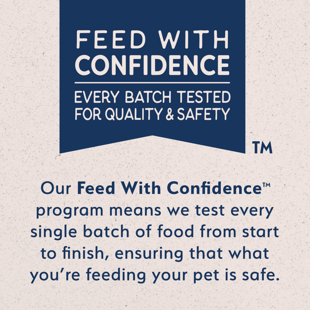 Natural Balance Rewards Crunchy Biscuits Dog Treats for Small Breeds with Real Duck