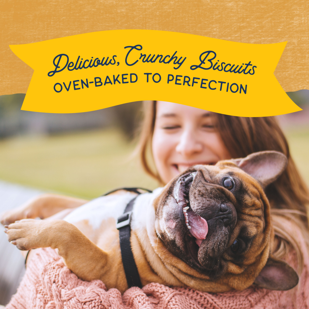 Natural Balance Rewards Crunchy Biscuits Dog Treats for Small Breeds with Real Duck