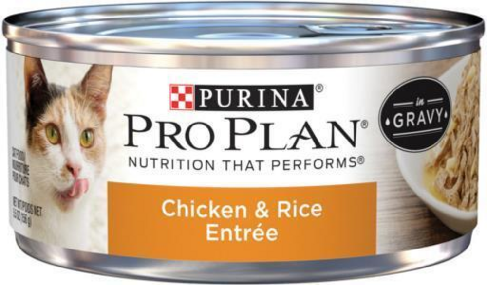 ProPlan Chicken and Rice in Gravy Wet Cat Food