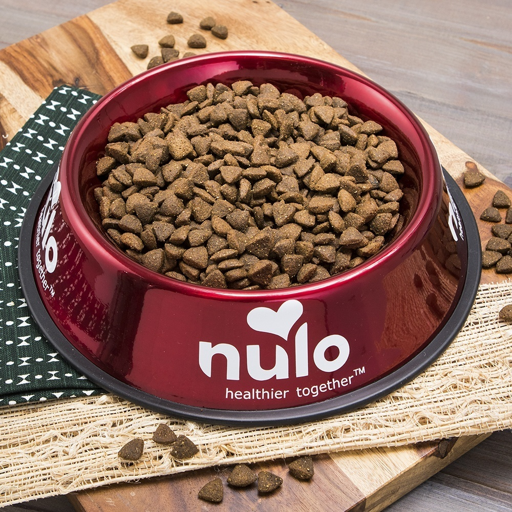 Nulo Freestyle Adult Dog Gf Salmon