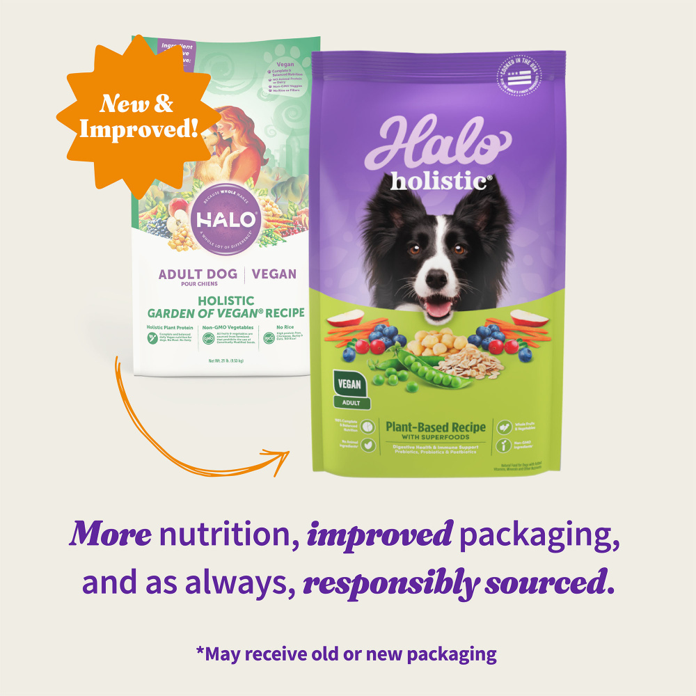 Halo Holistic Adult Dog Vegan Plant Based Recipe with Superfoods Dry D Lees Feed Western