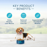 Blue Buffalo Life Protection Formula Healthy Weight Adult Chicken & Brown Rice Recipe Dry Dog Food