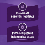 Friskies Cat Food Surfin and Turfin Favorites Dry Cat Food