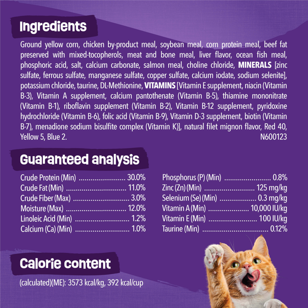 Friskies Cat Food Surfin and Turfin Favorites Dry Cat Food