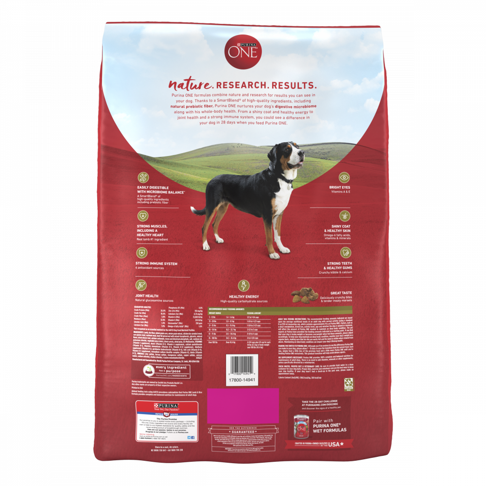 One Lamb and Rice Dry Dog Food