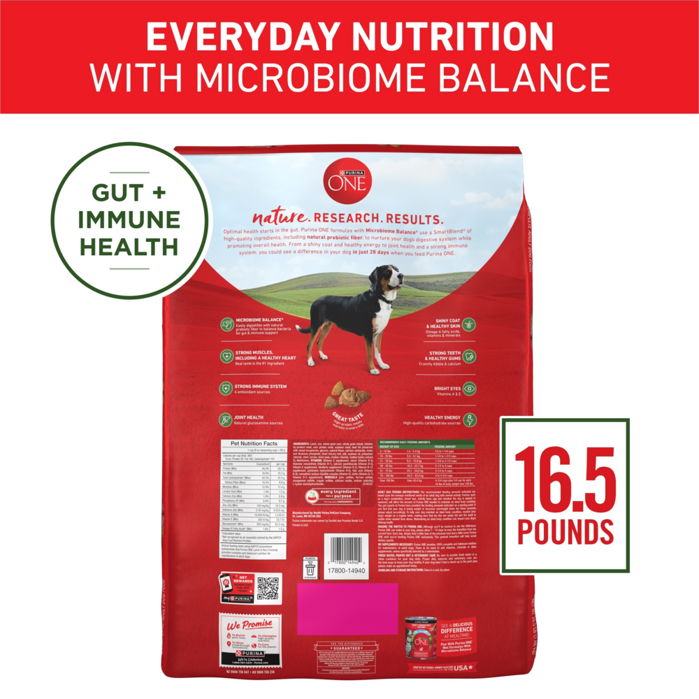 Purina One Lamb and Rice Dry Dog Food