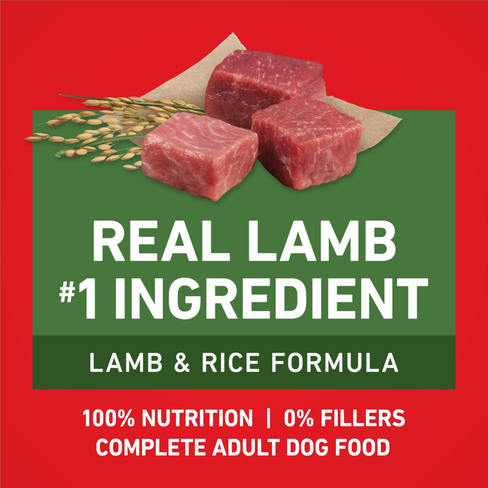 Purina One Lamb and Rice Dry Dog Food