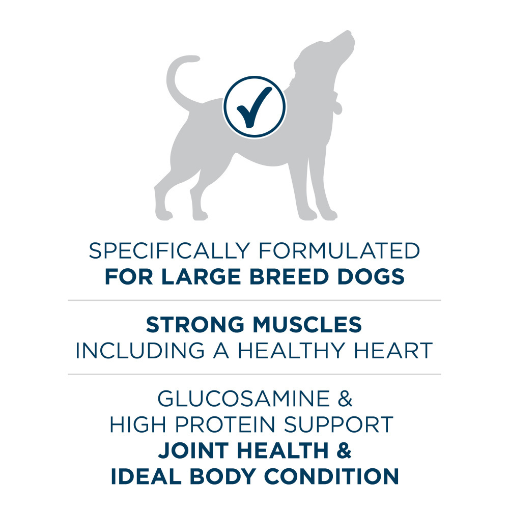 Purina One Large Breed Dry Dog Food