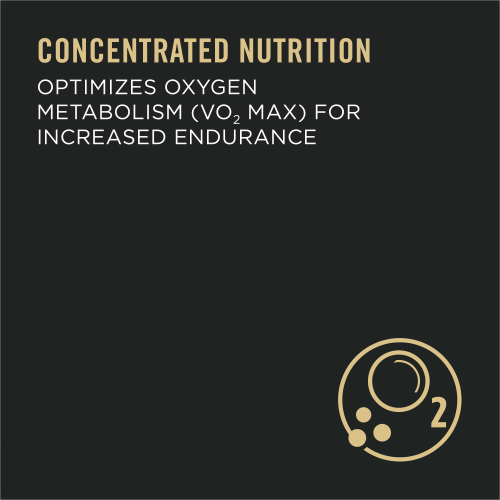 ProPlan Performance 30 / 20 Chicken and Rice Dry Dog Food