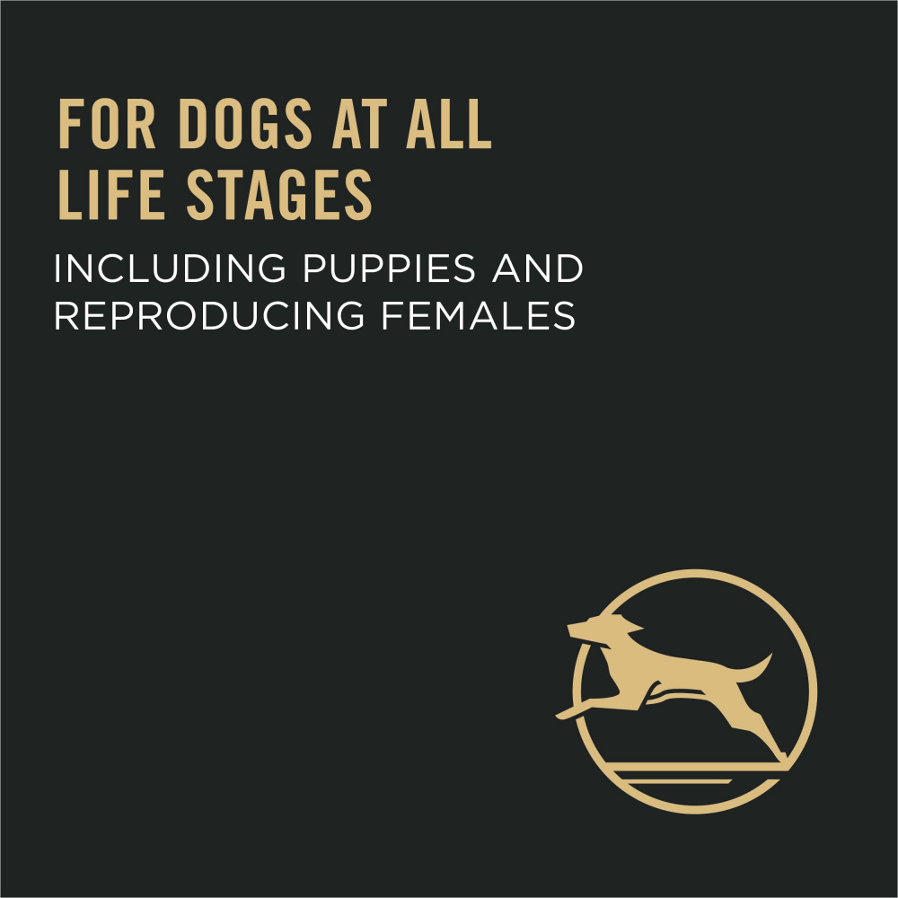 ProPlan Performance 30 / 20 Chicken and Rice Dry Dog Food