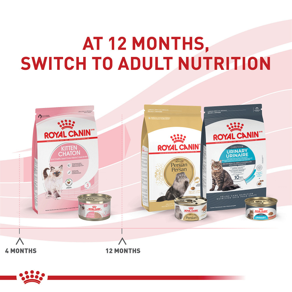 Royal Canin Feline Health Nutrition Kitten Dry Kitten Food – Lees' Feed &  Western