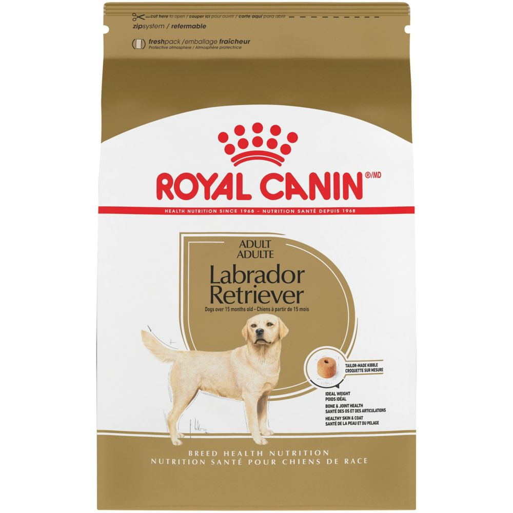 Labrador retriever feeding best sale