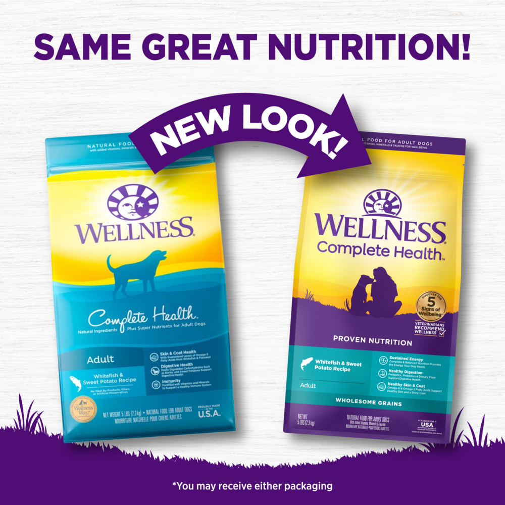 Wellness Complete Health Natural Adult Whitefish and Sweet Potato Recipe Dry Dog Food