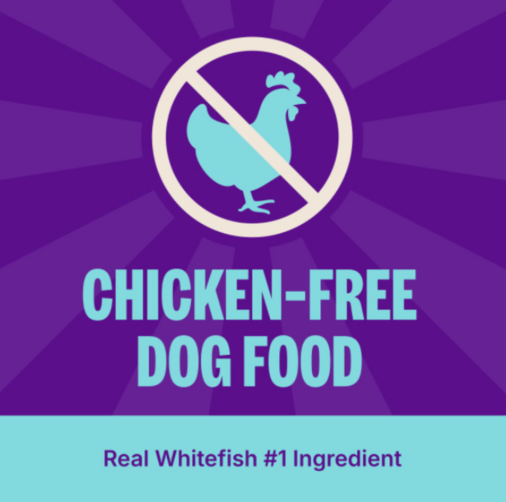 Wellness Complete Health Natural Adult Whitefish and Sweet Potato Recipe Dry Dog Food