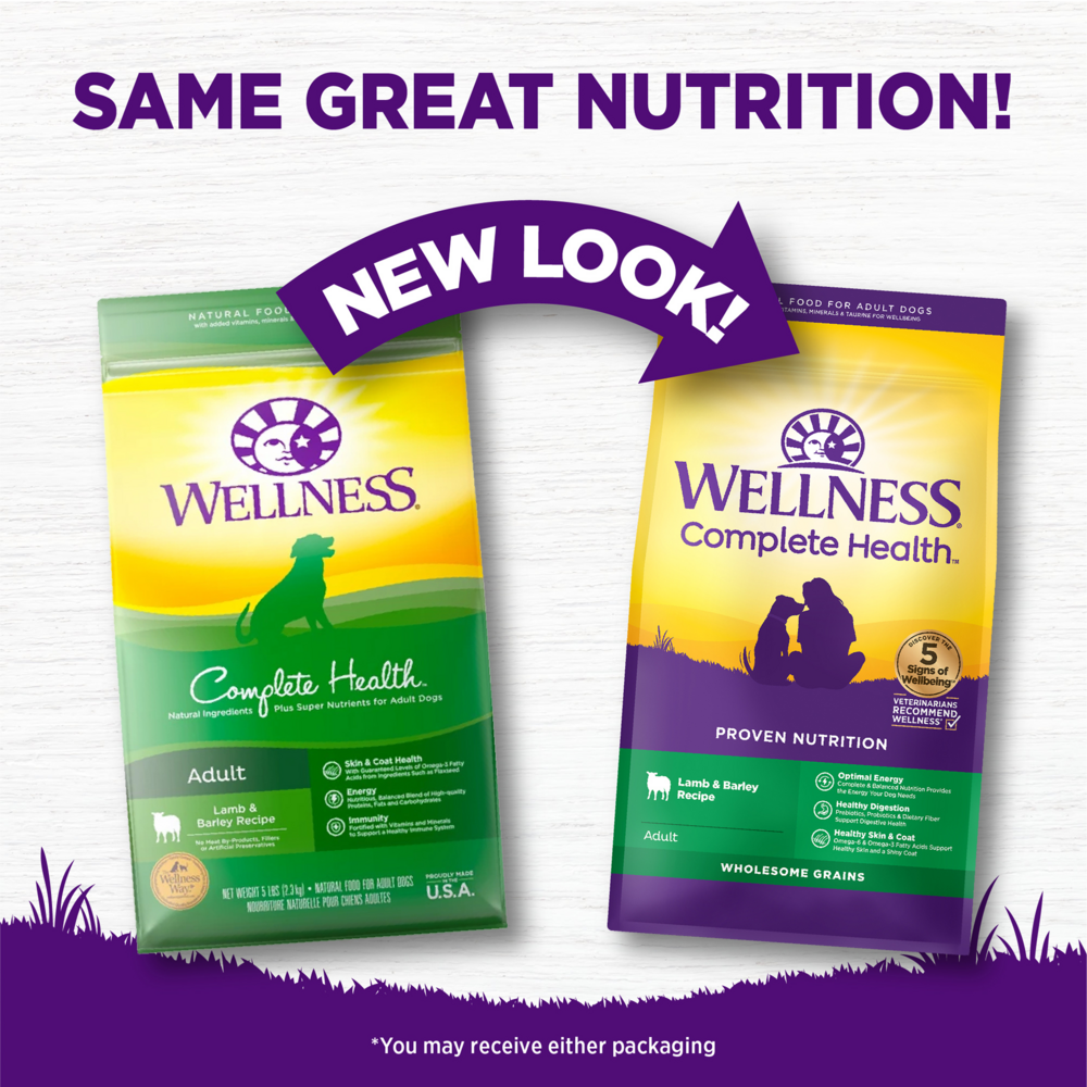 Wellness Complete Health Natural Lamb & Barley Recipe Dry Dog Food