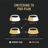 ProPlan Sensitive Skin & Stomach Salmon and Rice Dry Dog Food
