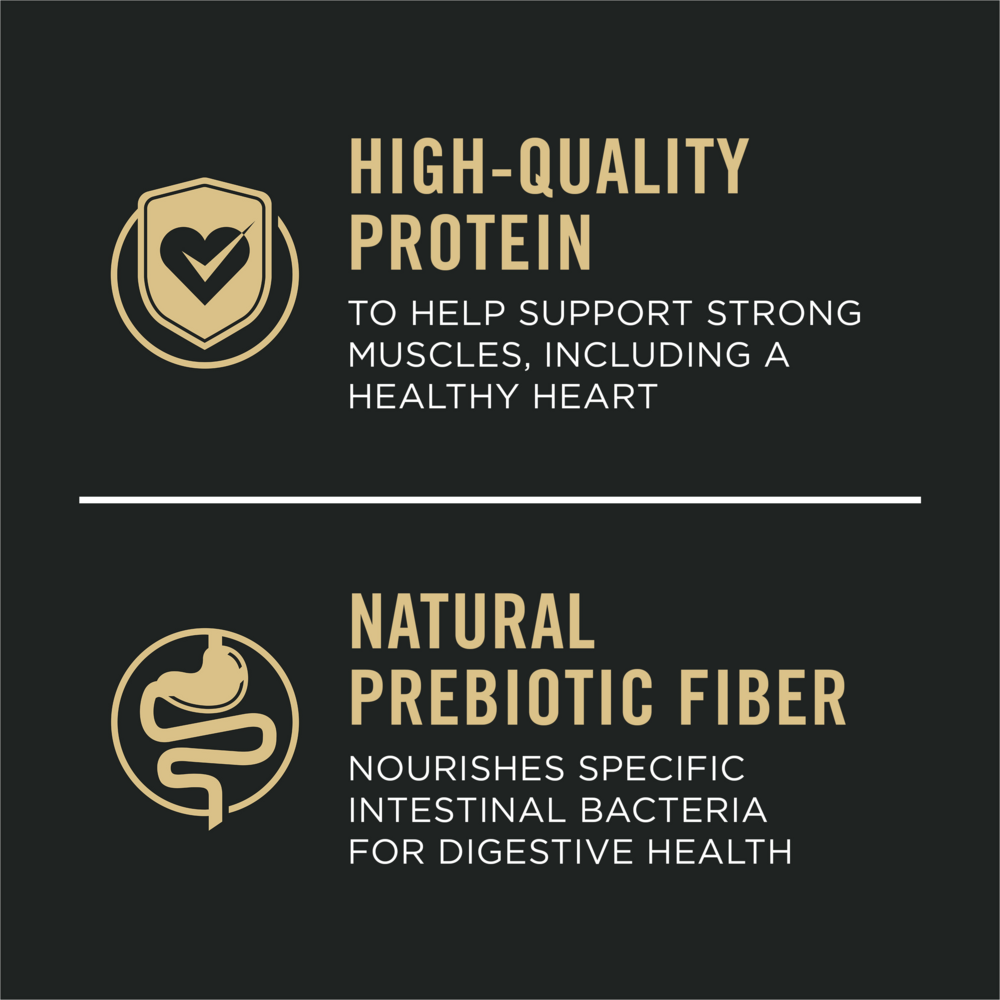 ProPlan Shredded Blend Beef and Rice Dry Dog Food