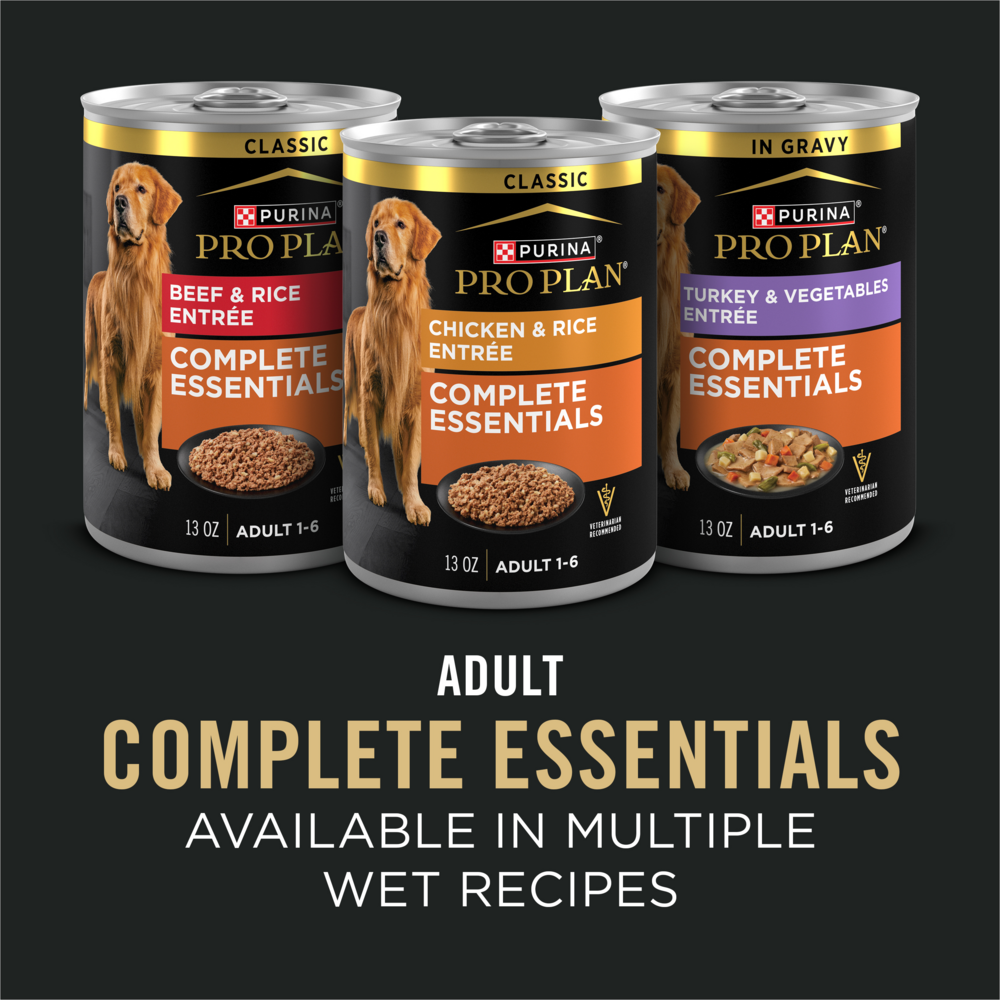 ProPlan Shredded Blend Beef and Rice Dry Dog Food