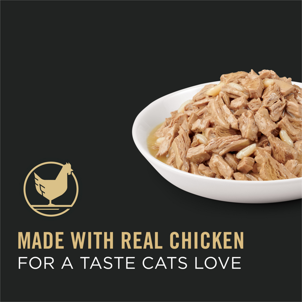 ProPlan Chicken and Rice in Gravy Wet Cat Food