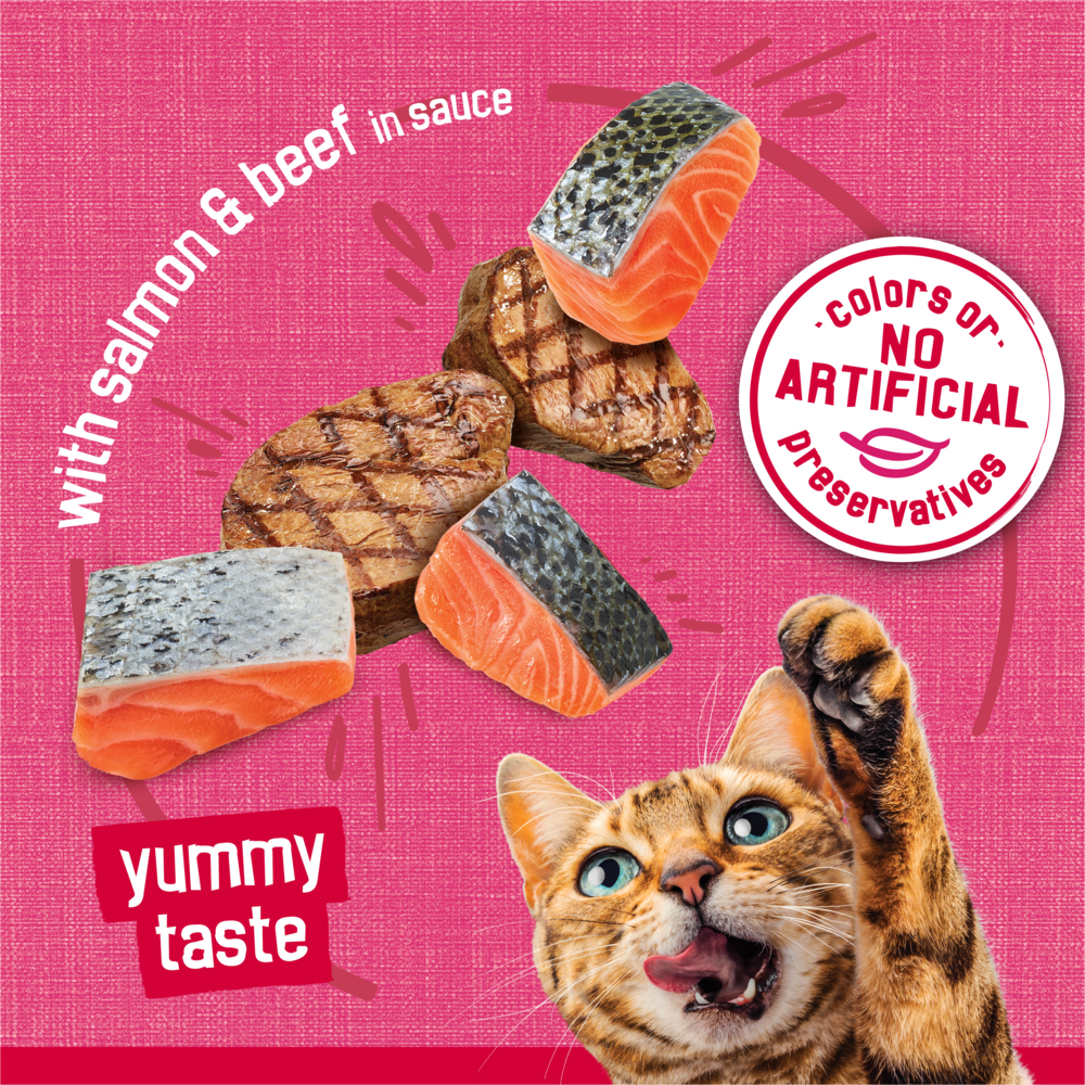 Friskies Prime Filets Salmon & Beef in Sauce Wet Cat Food