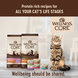 Wellness CORE Grain Free Natural Whitefish, Salmon & Herring Smooth Pate Canned Cat Food