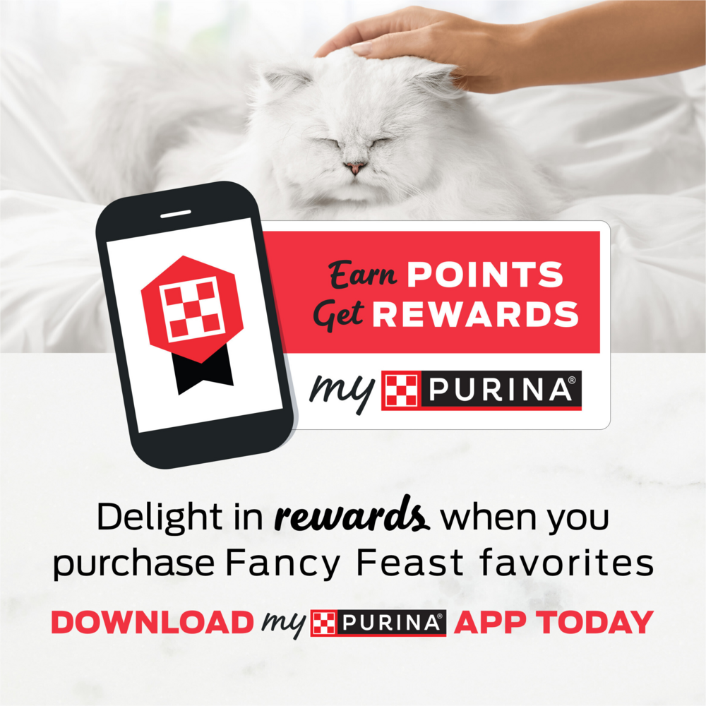 Fancy Feast Tender Turkey Feast Wet Kitten Food
