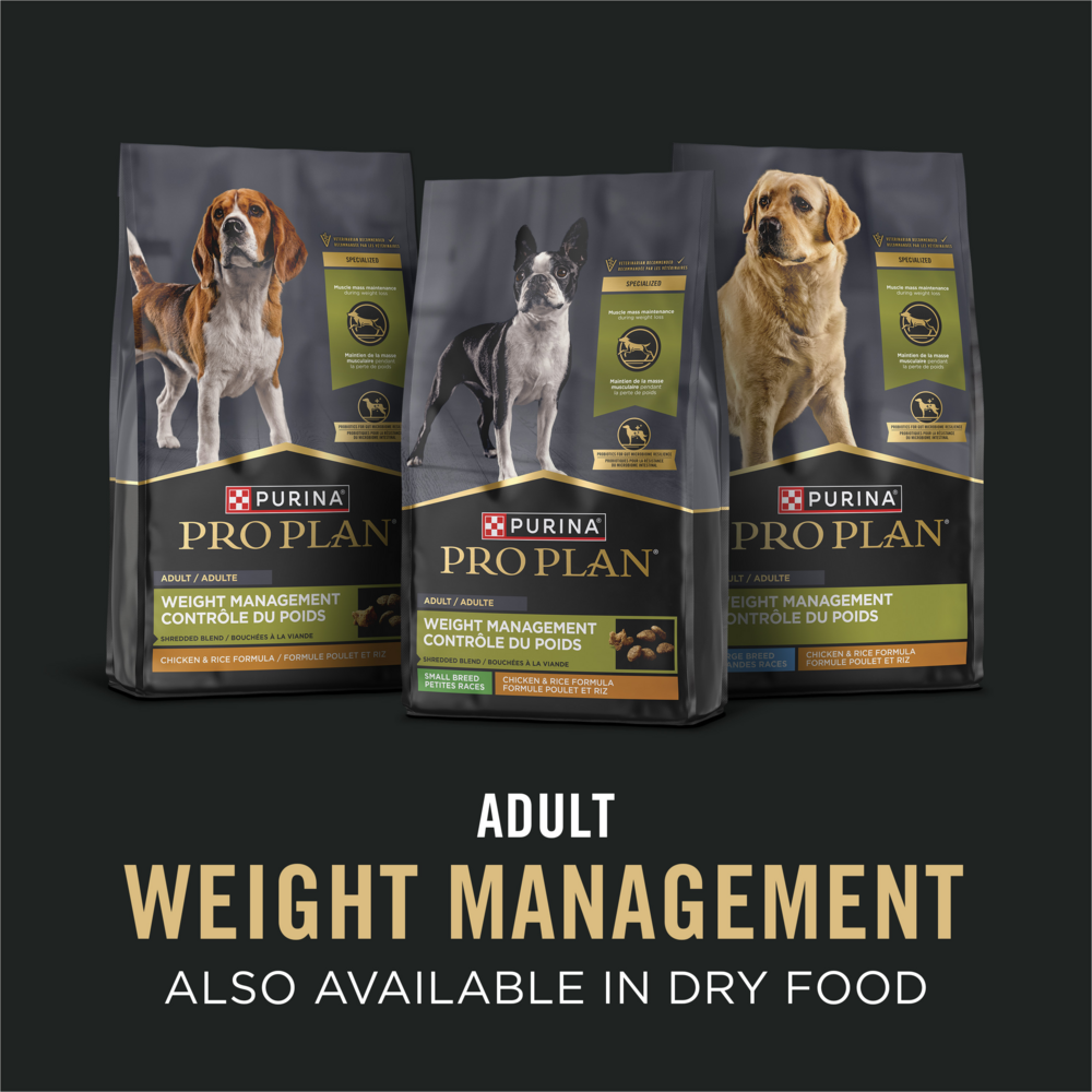 Purina Pro Plan Focus Adult Weight Management Turkey & Rice Entree Canned Dog Food