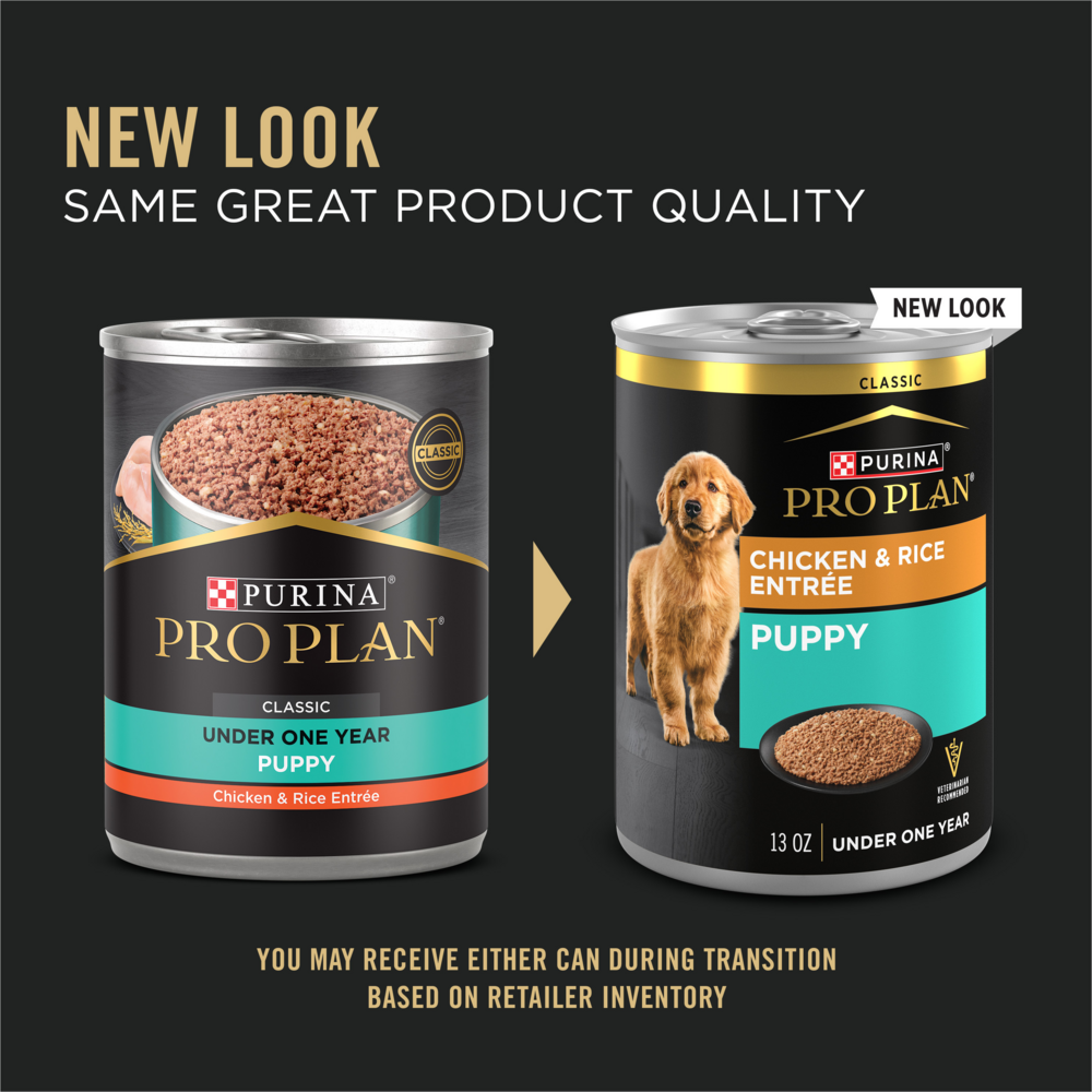 Purina pro plan focus puppy wet food best sale