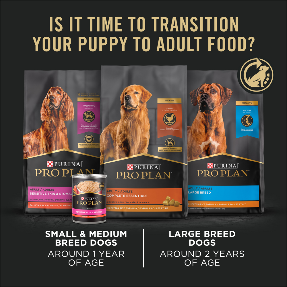 ProPlan Chicken and Rice Large Breed Dry Puppy Food