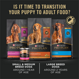 ProPlan Chicken and Rice Large Breed Dry Puppy Food
