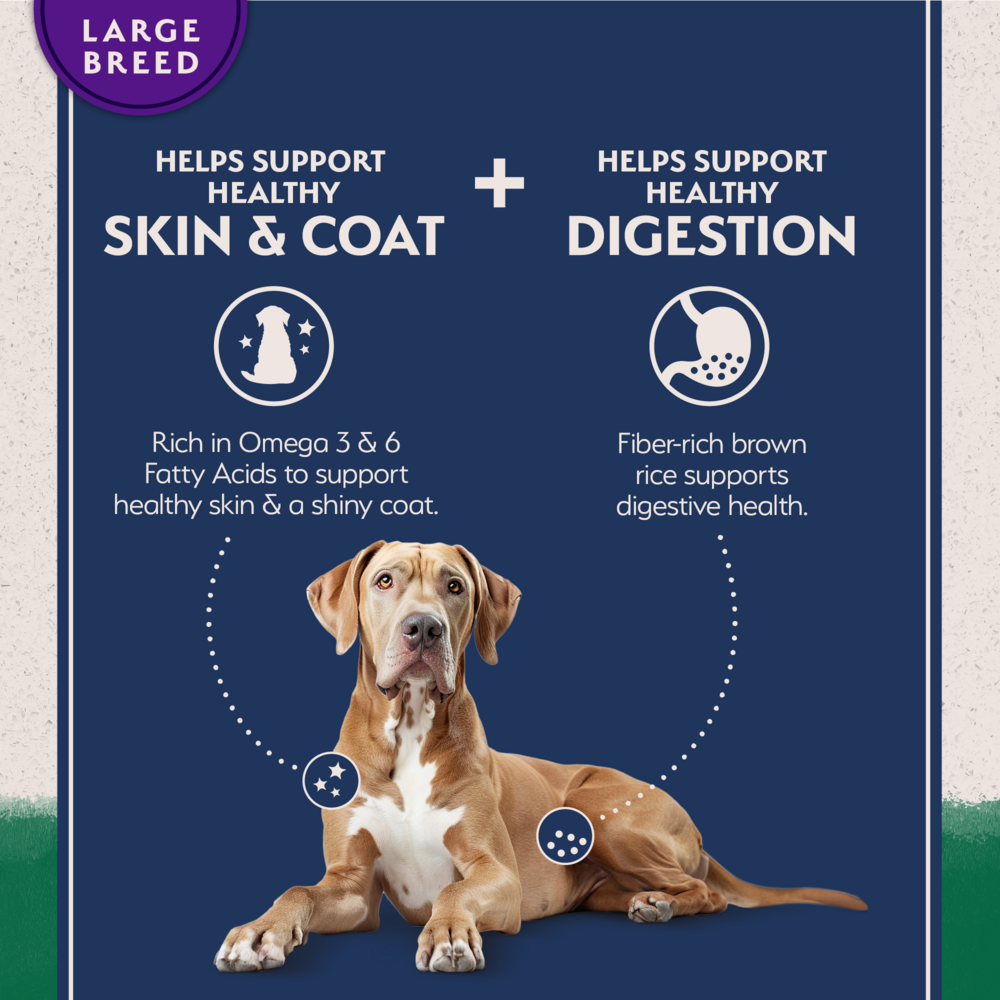 Natural Balance Limited Ingredient Dry Dog Food, Large Breed Lamb & Brown Rice Recipe