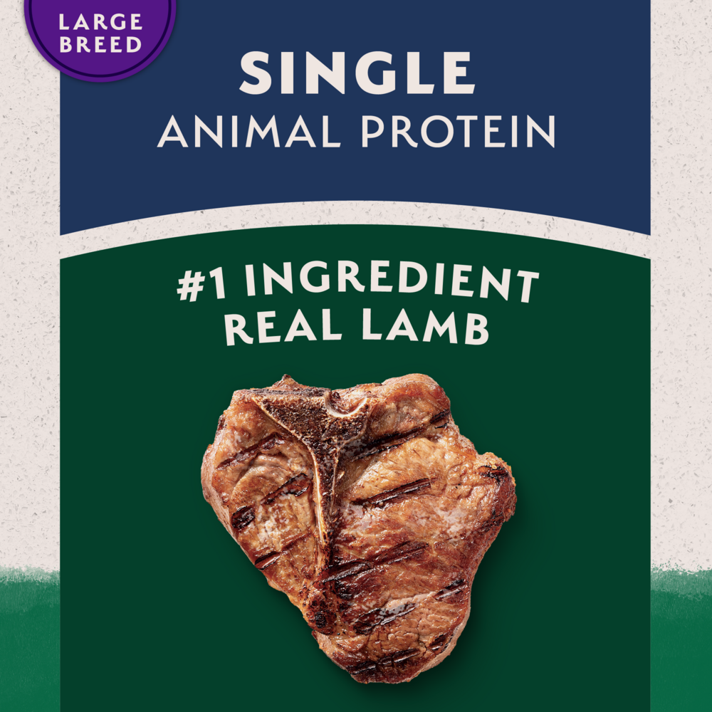 Natural Balance Limited Ingredient Dry Dog Food, Large Breed Lamb & Brown Rice Recipe