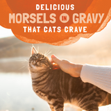 Natural Balance Original Ultra Platefulls Wet Cat Food, Turkey, Chicken, & Duck Morsels in Gravy Recipe