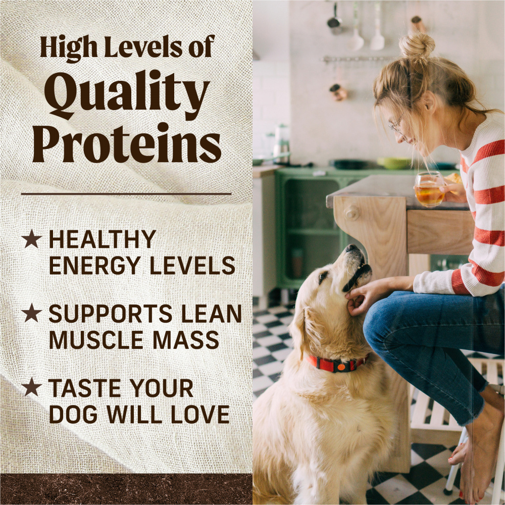 Merrick Grain Free Chicken and Sweet Potato Adult Dry Dog Food
