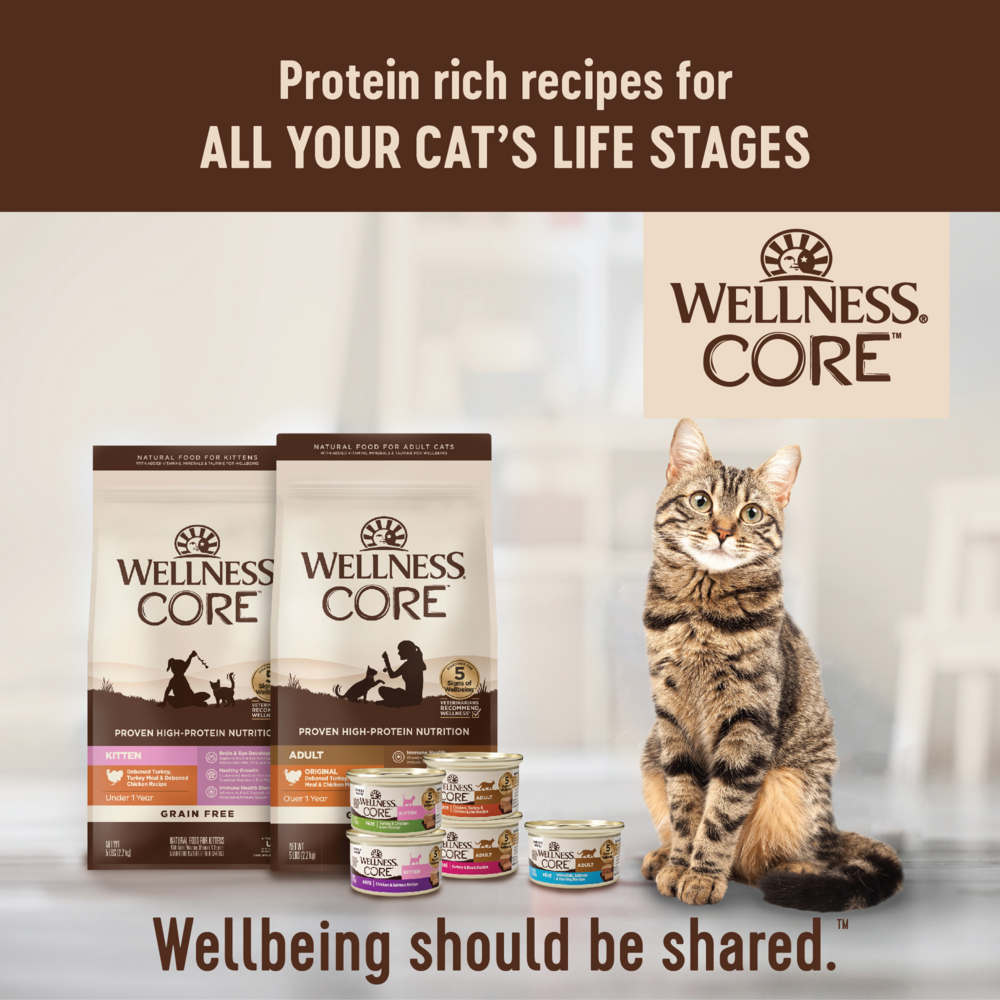 Wellness CORE Natural Grain Free Turkey and Duck Pate Wet Canned Cat F Lees Feed Western