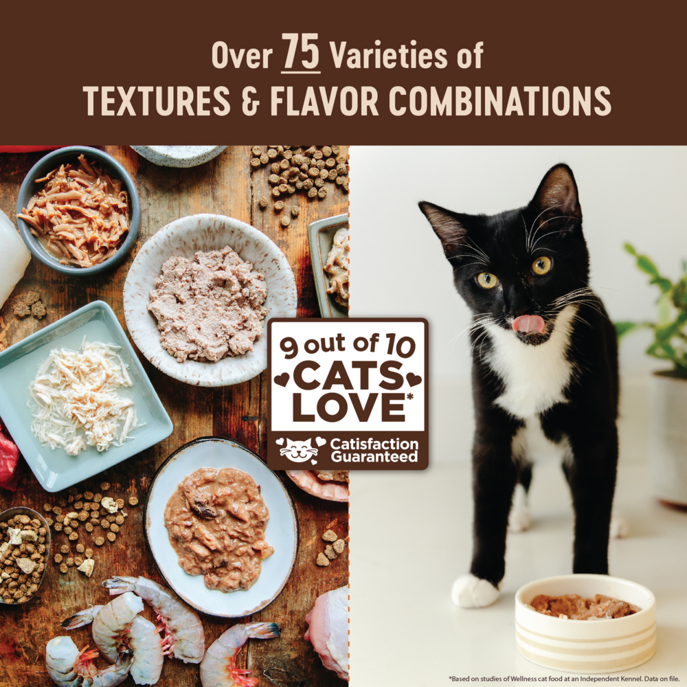 best cat food grain free