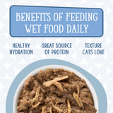 Weruva Cats in the Kitchen Splash Dance Canned Cat Food