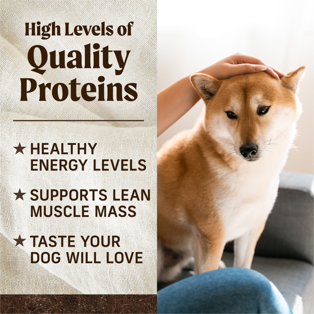Merrick Grain Free Texas Beef and Sweet Potato Adult Dry Dog Food
