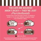 Merrick Purrfect Bistro Grain Free Salmon Pate Adult Wet Cat Food