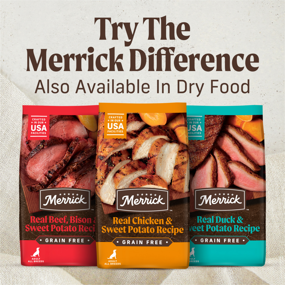 Merrick Grain Free Big Texas Steak Tips Adult Wet Dog Food