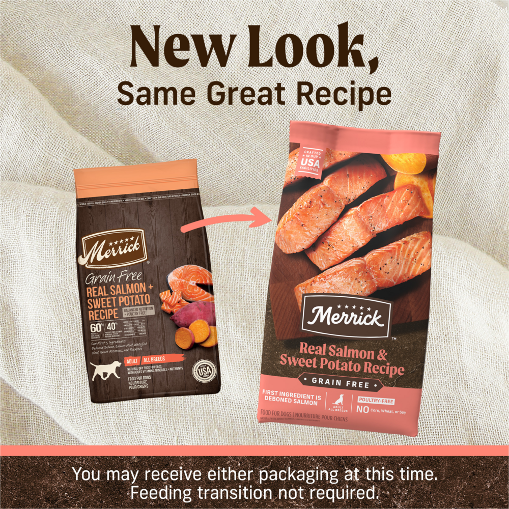 Merrick Grain Free Salmon and Sweet Potato Adult Dry Dog Food