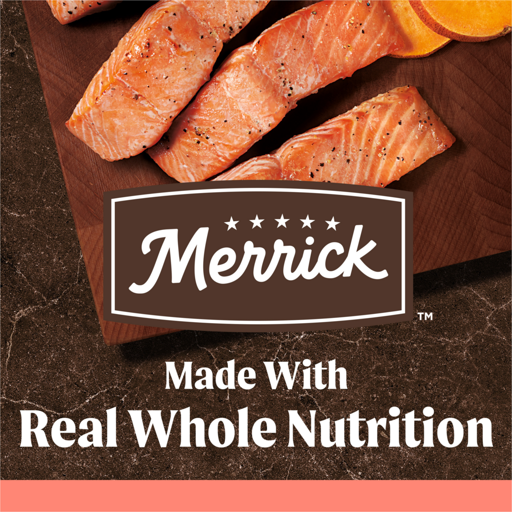 Merrick Grain Free Salmon and Sweet Potato Adult Dry Dog Food