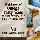 Merrick Grain Free Salmon and Sweet Potato Adult Dry Dog Food