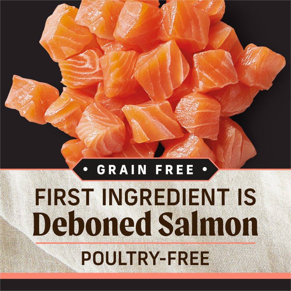 Merrick Backcountry Grain Free Pacific Catch Adult Dry Dog Food