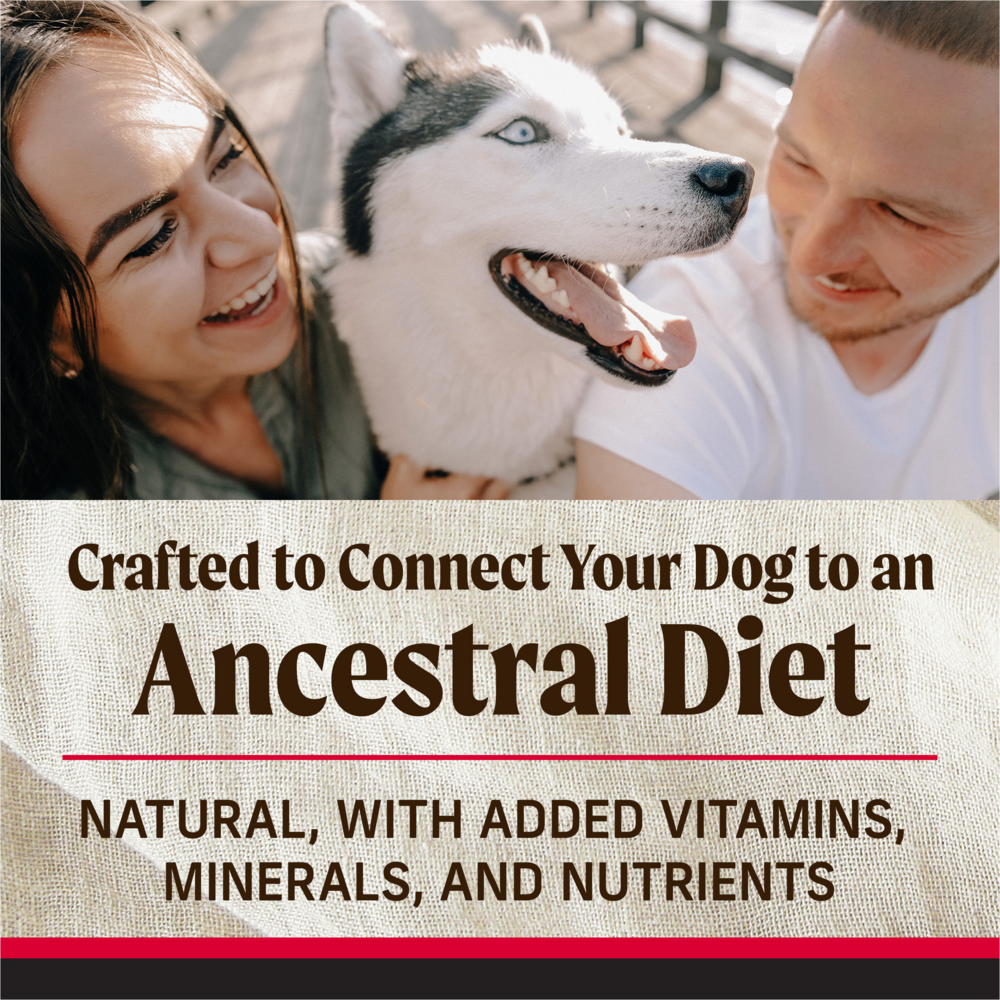 Merrick Backcountry Grain Free Great Plains Red Meat Adult Dry Dog Food